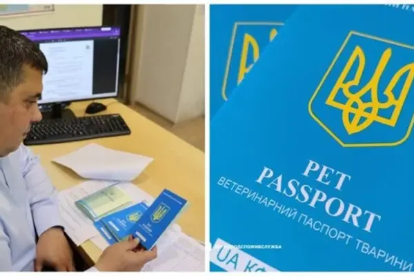 Новий ветпаспорт в Україні з 4 серпня: дати, код UA і штраф 340–390 грн